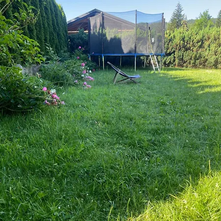 Nad Stawem * 克雷尼察